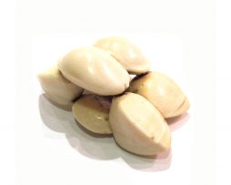 Netsuke en ivoire katabori - Konomi (amandes japonaises)