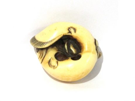 Netsuke - Singe et Namazu 5