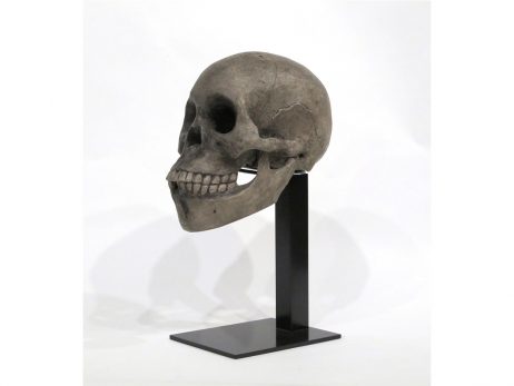 Okimono en bois représentant un crâne humain 2