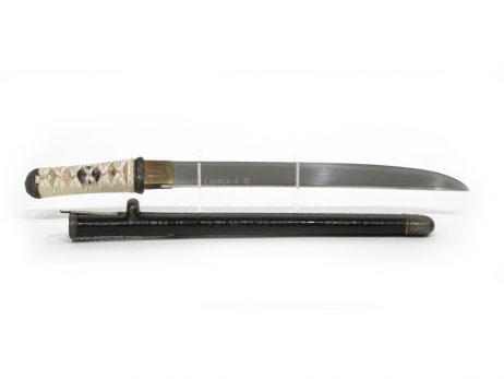 Tanto - Lame shinshinto hira zukuri